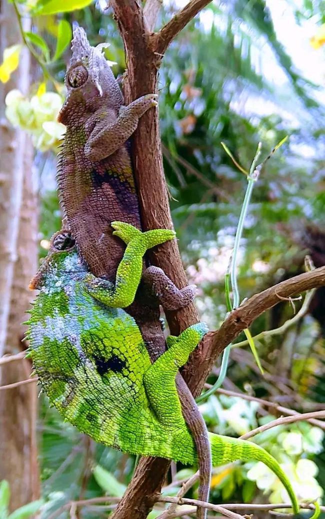 Galapagos Homestay Lushoto Экстерьер фото